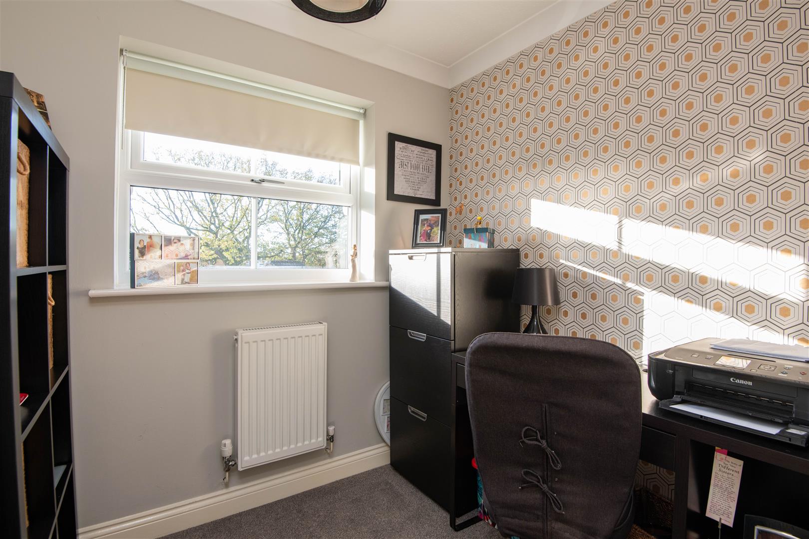 Avocet Court, Leyland